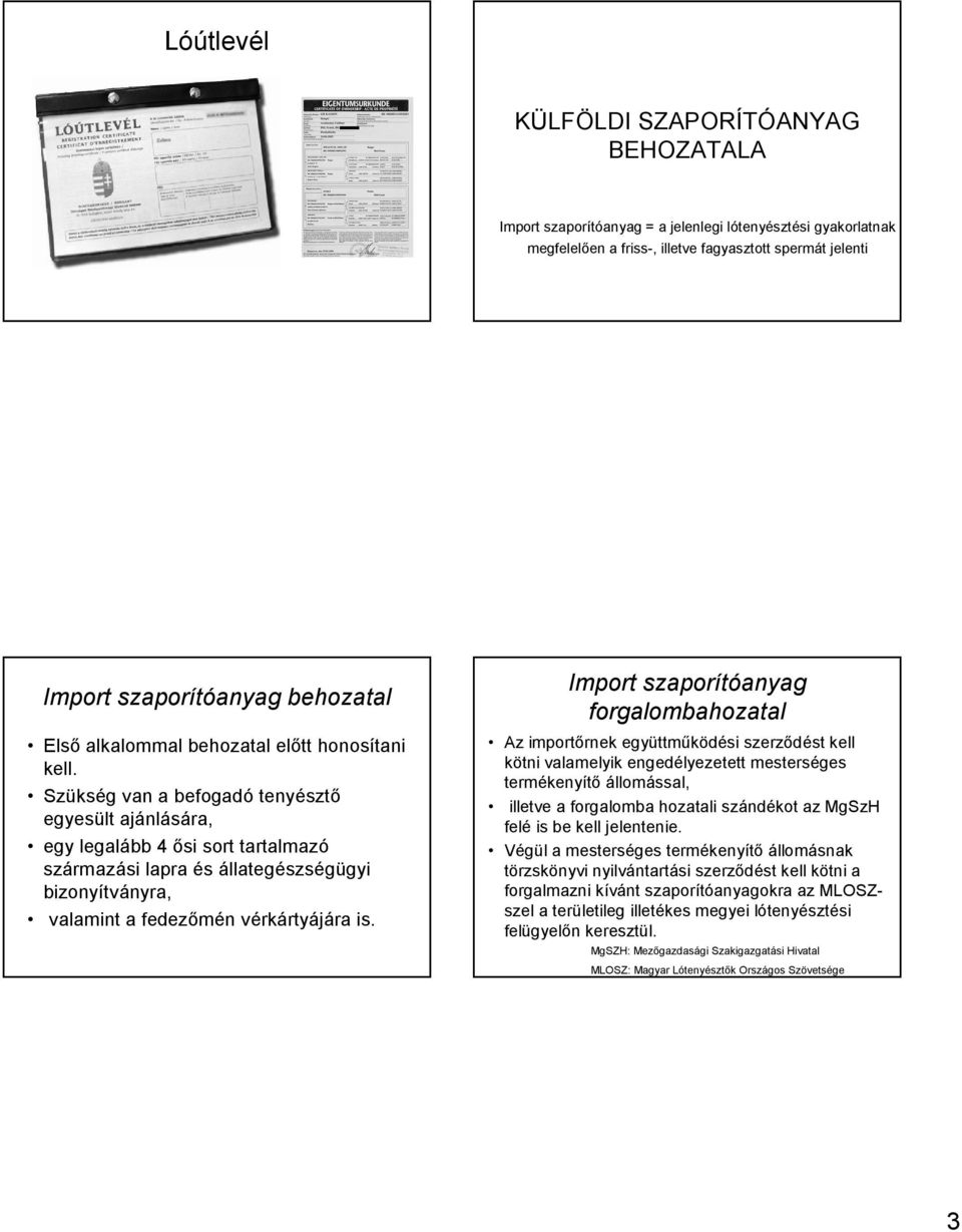 Szükség van a befogadó tenyésztő egyesült ajánlására, egy legalább 4 ősi sort tartalmazó származási lapra és állategészségügyi bizonyítványra, valamint a fedezőmén vérkártyájára is.