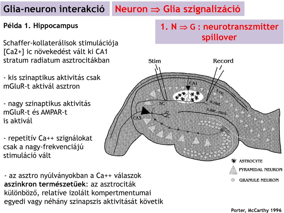 N G : neurotranszmitter spillover - kis szinaptikus aktivitás csak mglur-t aktivál asztron - nagy szinaptikus aktivitás mglur-t és AMPAR-t is aktivál -