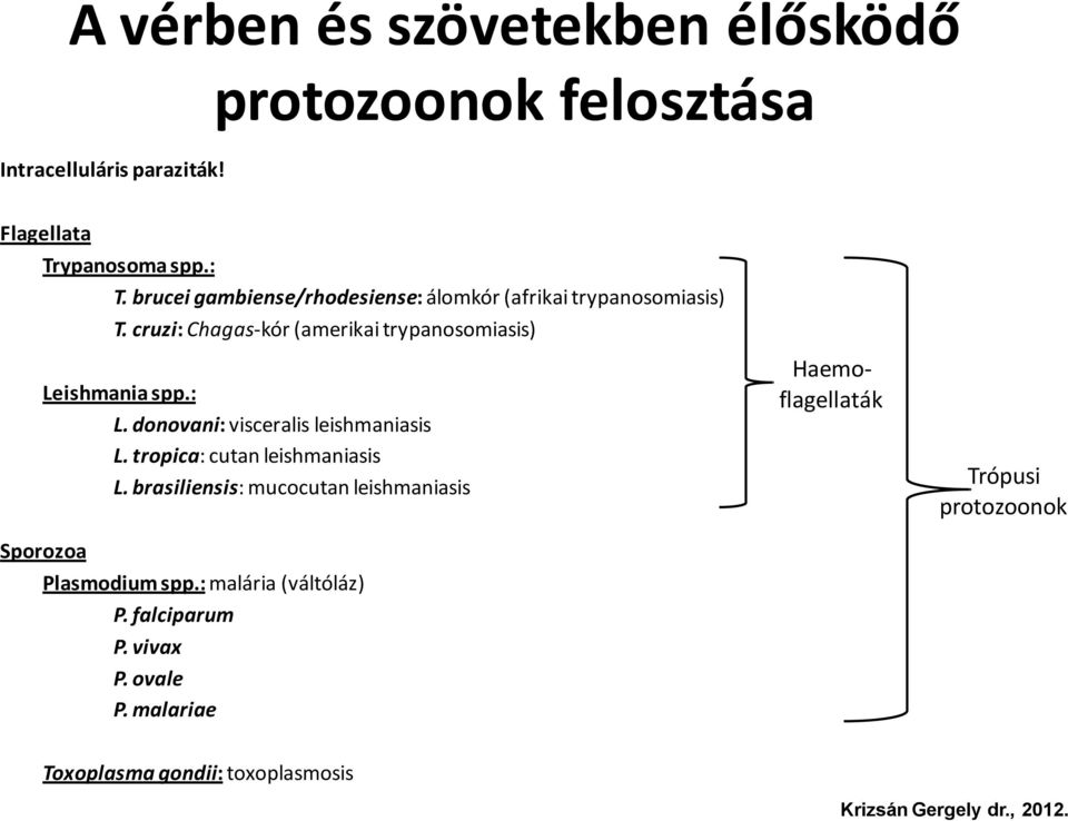 : L. donovani: visceralis leishmaniasis L. tropica: cutan leishmaniasis L.