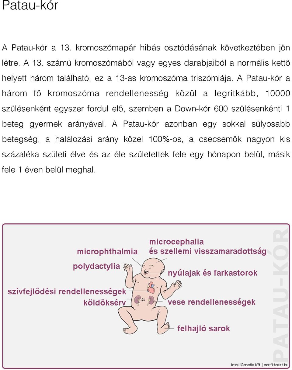 A Patau-kór a három fő kromoszóma rendellenesség közül a legritkább, 10000 szülésenként egyszer fordul elő, szemben a Down-kór 600 szülésenkénti 1