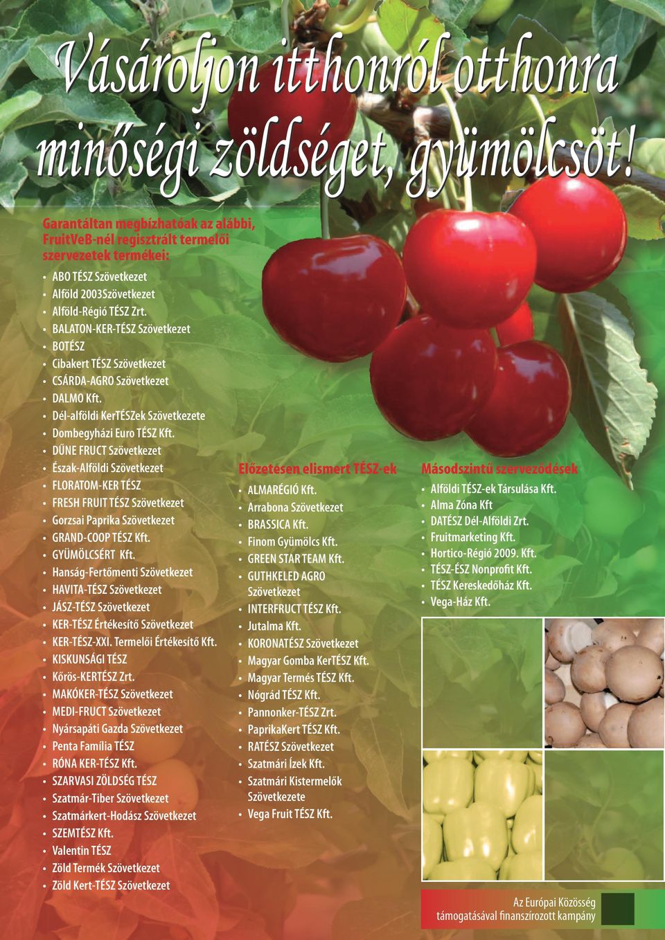BALATON-KER-TÉSZ Szövetkezet BOTÉSZ Cibakert TÉSZ Szövetkezet CSÁRDA-AGRO Szövetkezet DALMO Kft. Dél-alföldi KerTÉSZek Szövetkezete Dombegyházi Euro TÉSZ Kft.