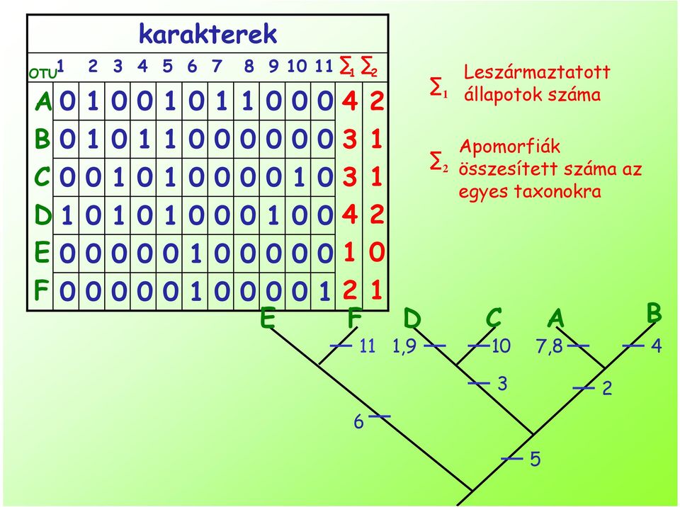 Leszármaztatott állapotok száma