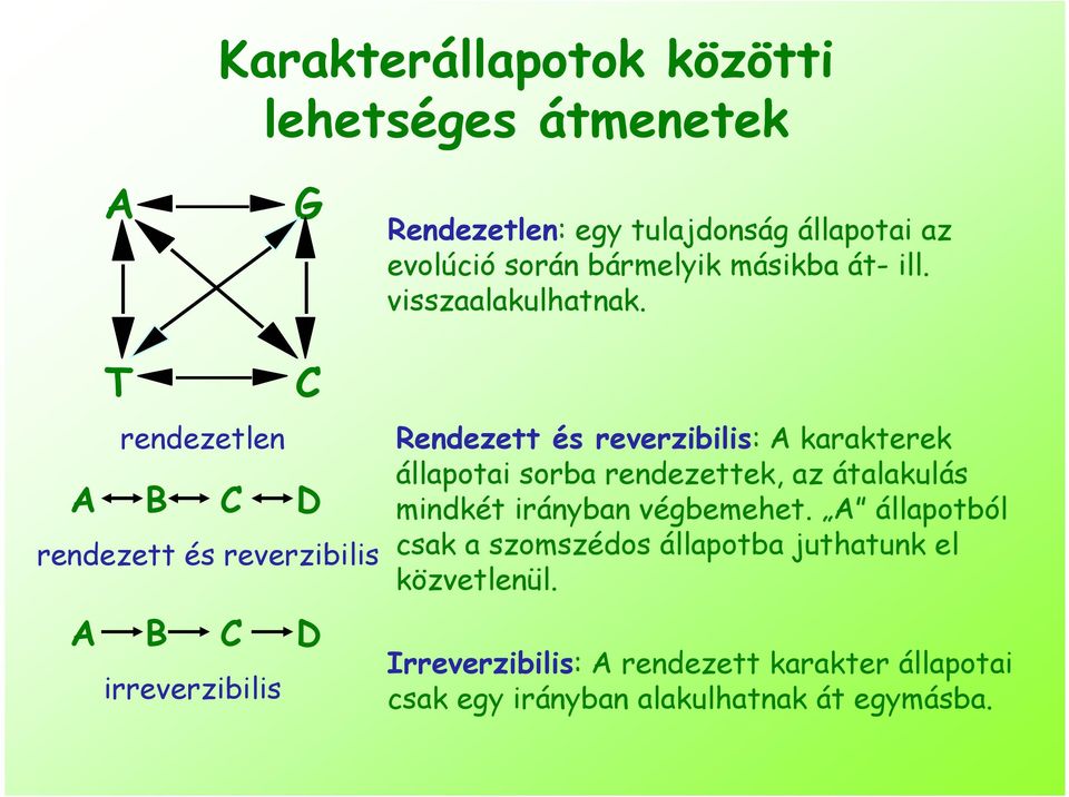 T rendezetlen A B D rendezett és reverzibilis A B D irreverzibilis Rendezett és reverzibilis: A karakterek állapotai sorba