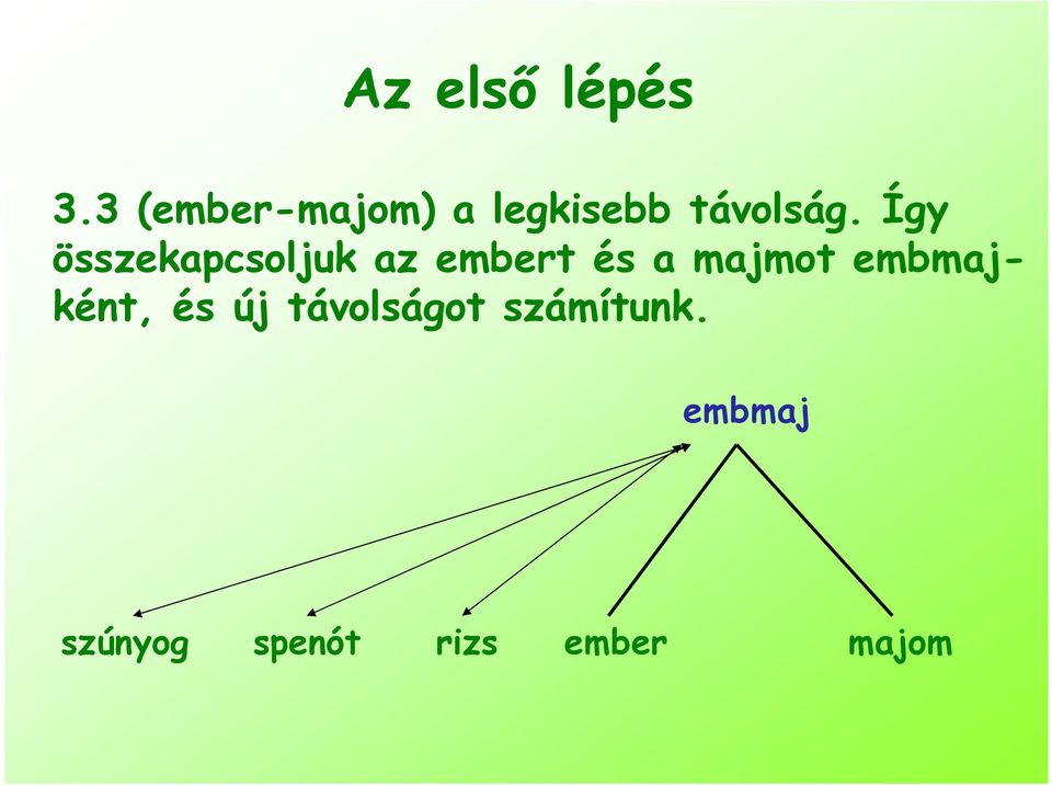 Így összekapcsoljuk az embert és a majmot