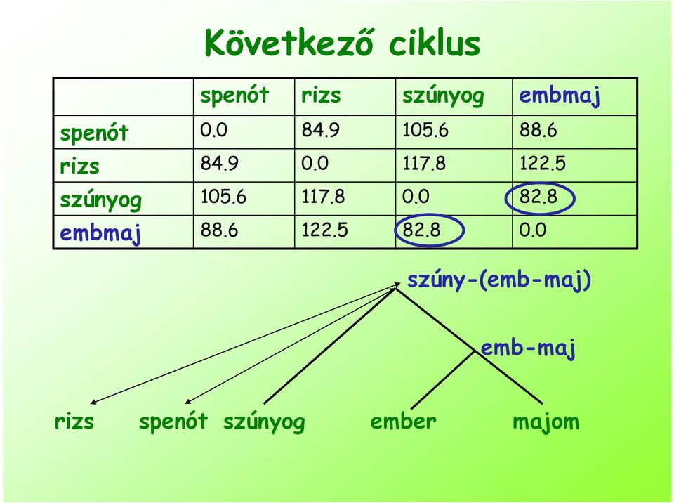 5 szúnyog 5.6 7.8.