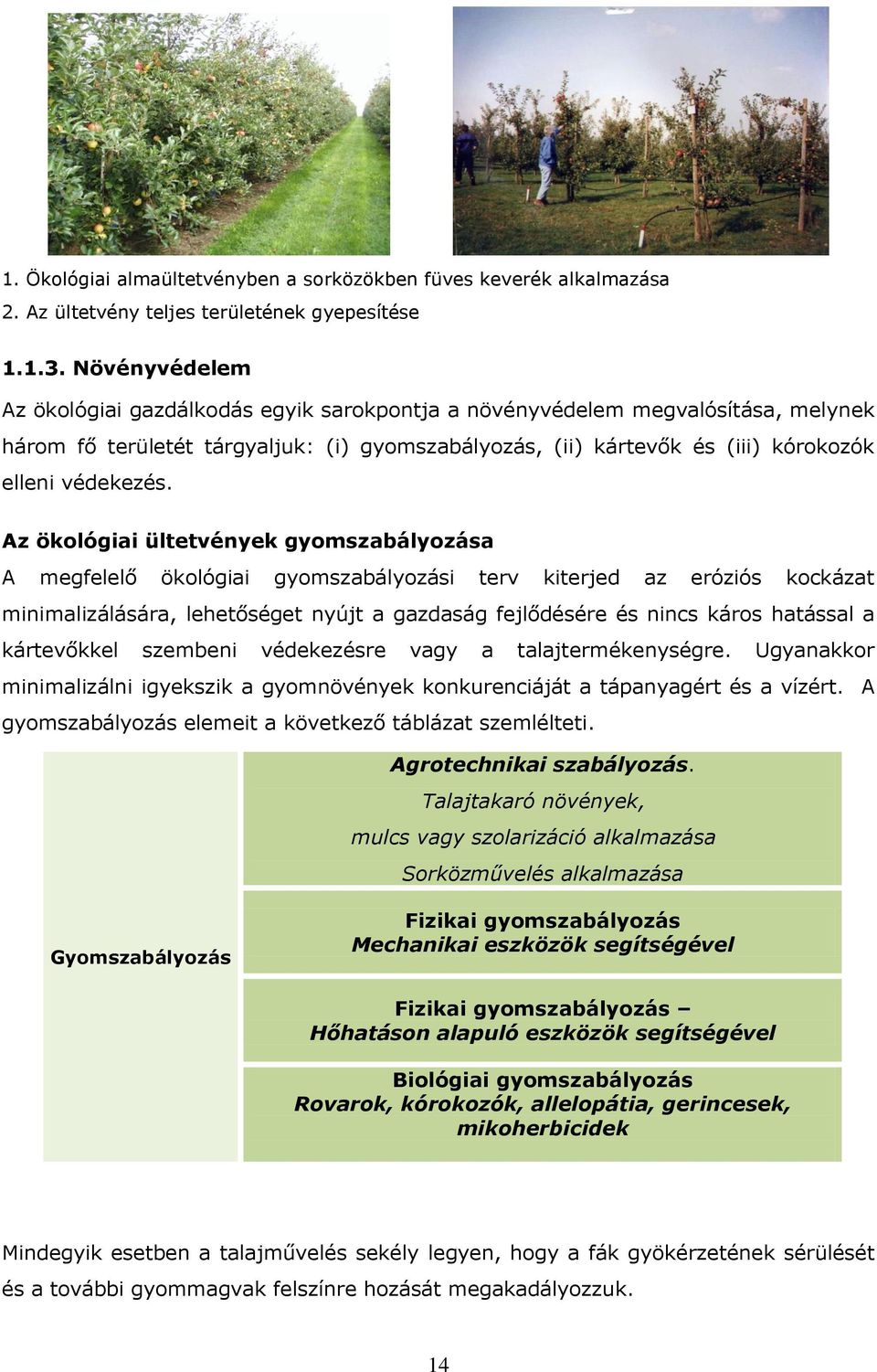 Az ökológiai ültetvények gyomszabályozása A megfelelő ökológiai gyomszabályozási terv kiterjed az eróziós kockázat minimalizálására, lehetőséget nyújt a gazdaság fejlődésére és nincs káros hatással a