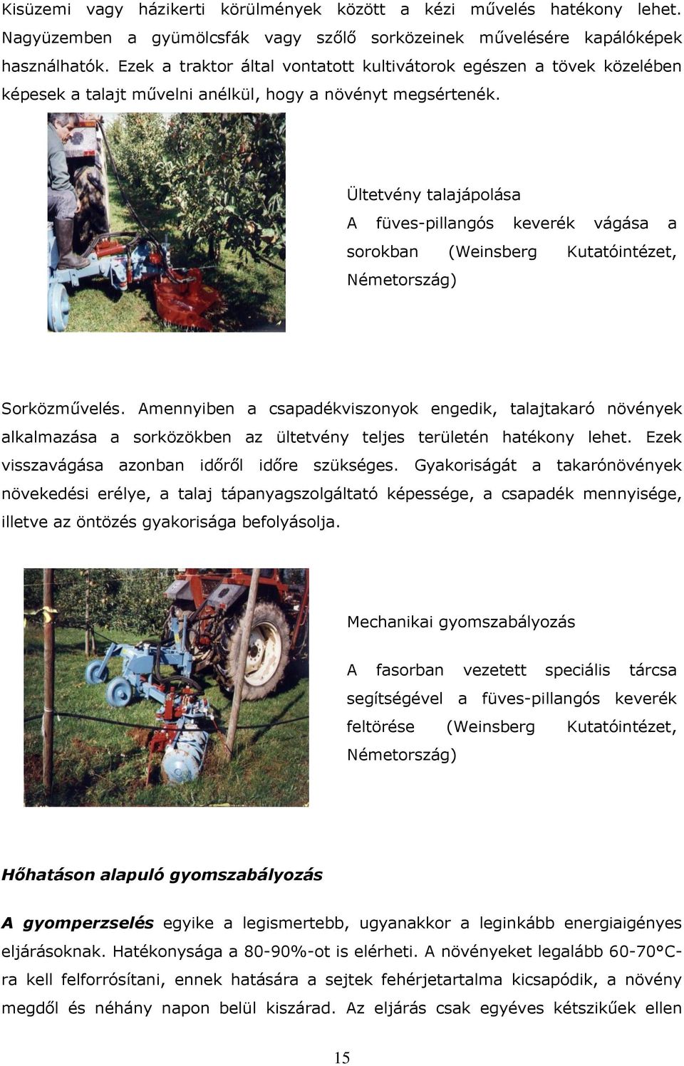 Ültetvény talajápolása A füves-pillangós keverék vágása a sorokban (Weinsberg Kutatóintézet, Németország) Sorközművelés.
