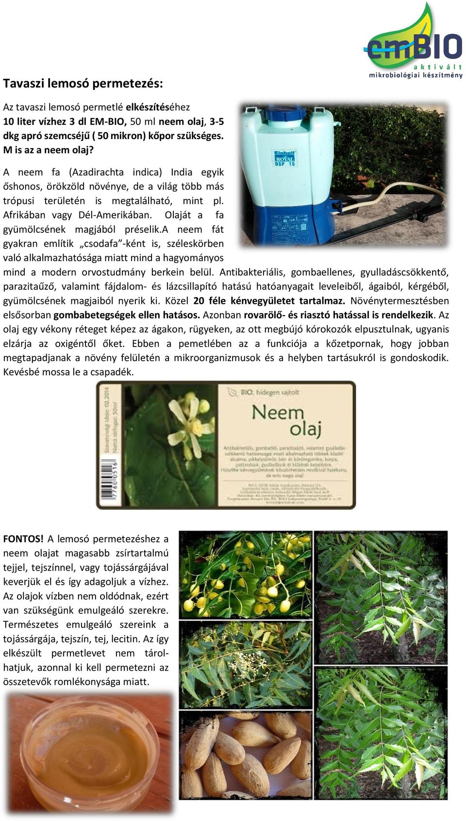 Olaját a fa gyümölcsének magjából préselik.a neem fát gyakran említik csodafa -ként is, széleskörben való alkalmazhatósága miatt mind a hagyományos mind a modern orvostudmány berkein belül.