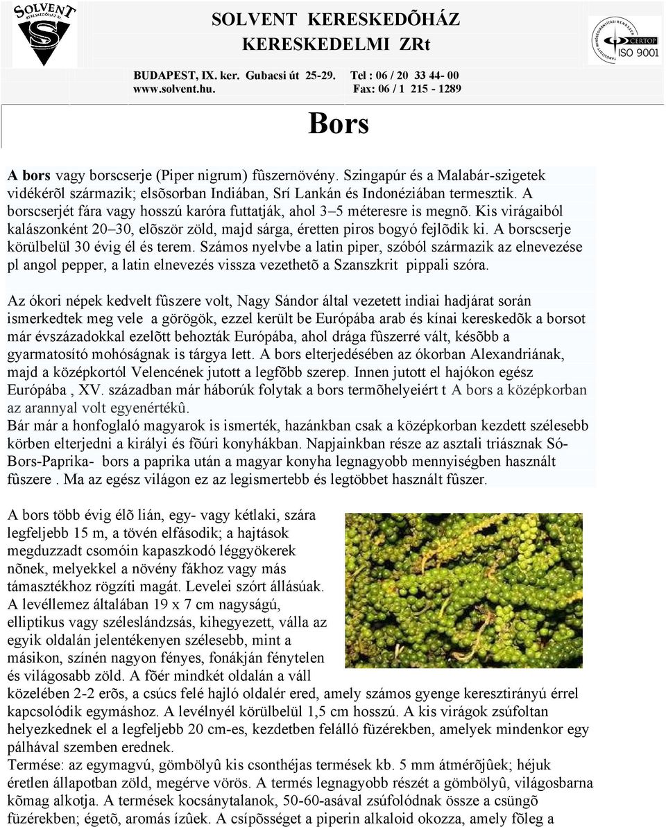 Kis virágaiból kalászonként 20 30, elõször zöld, majd sárga, éretten piros bogyó fejlõdik ki. A borscserje körülbelül 30 évig él és terem.