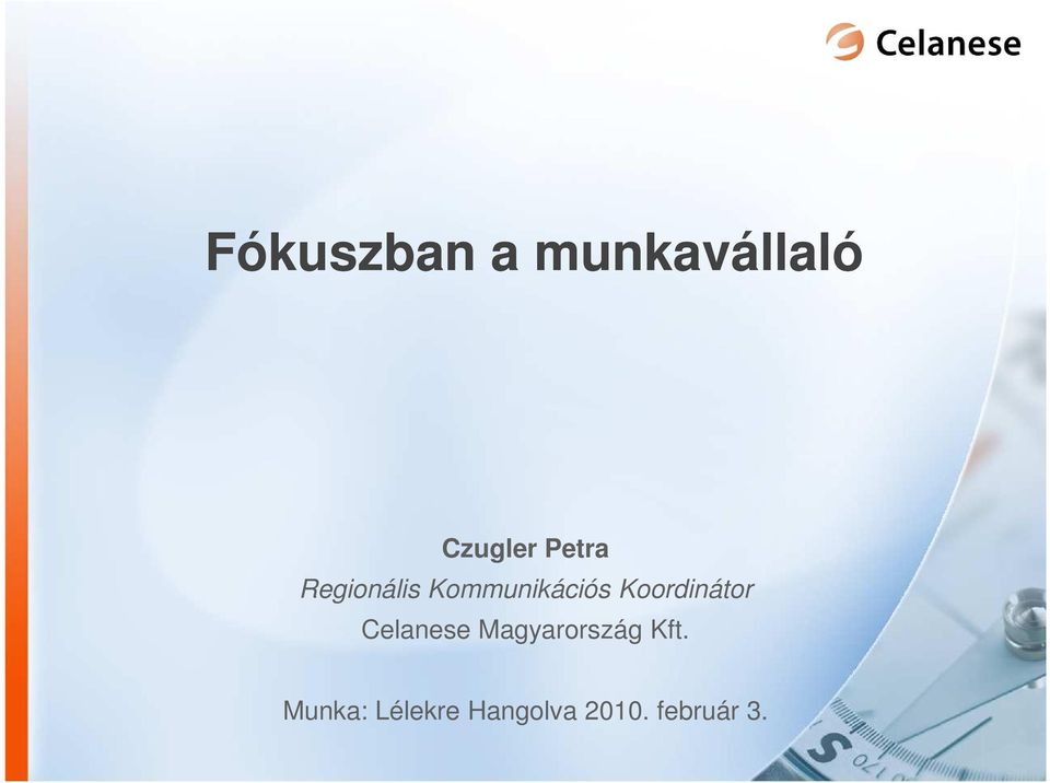 Koordinátor Celanese Magyarország