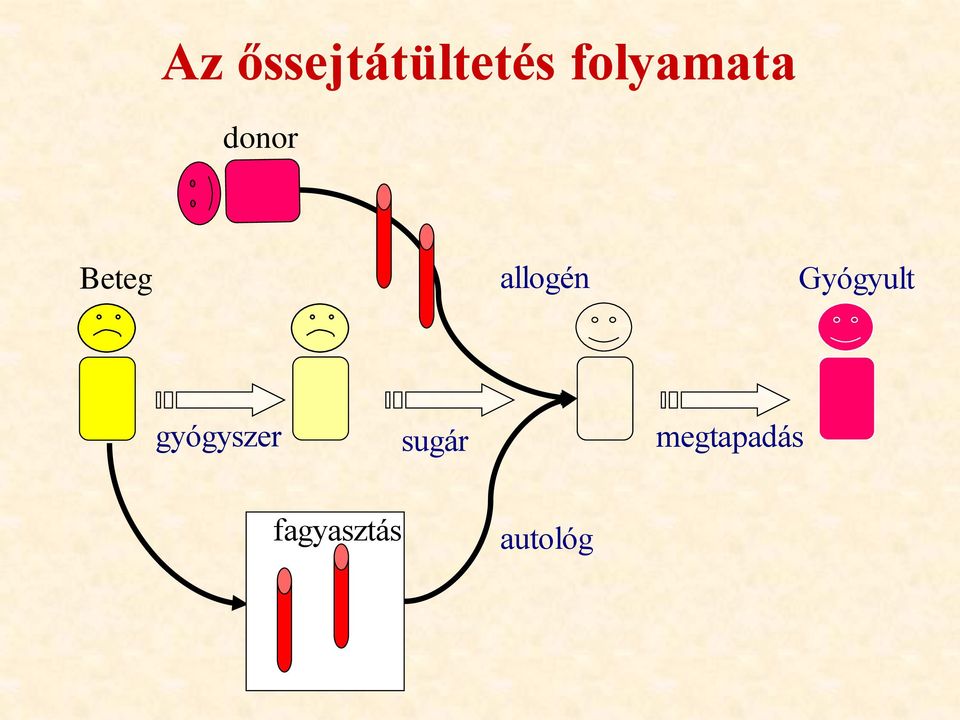 allogén Gyógyult