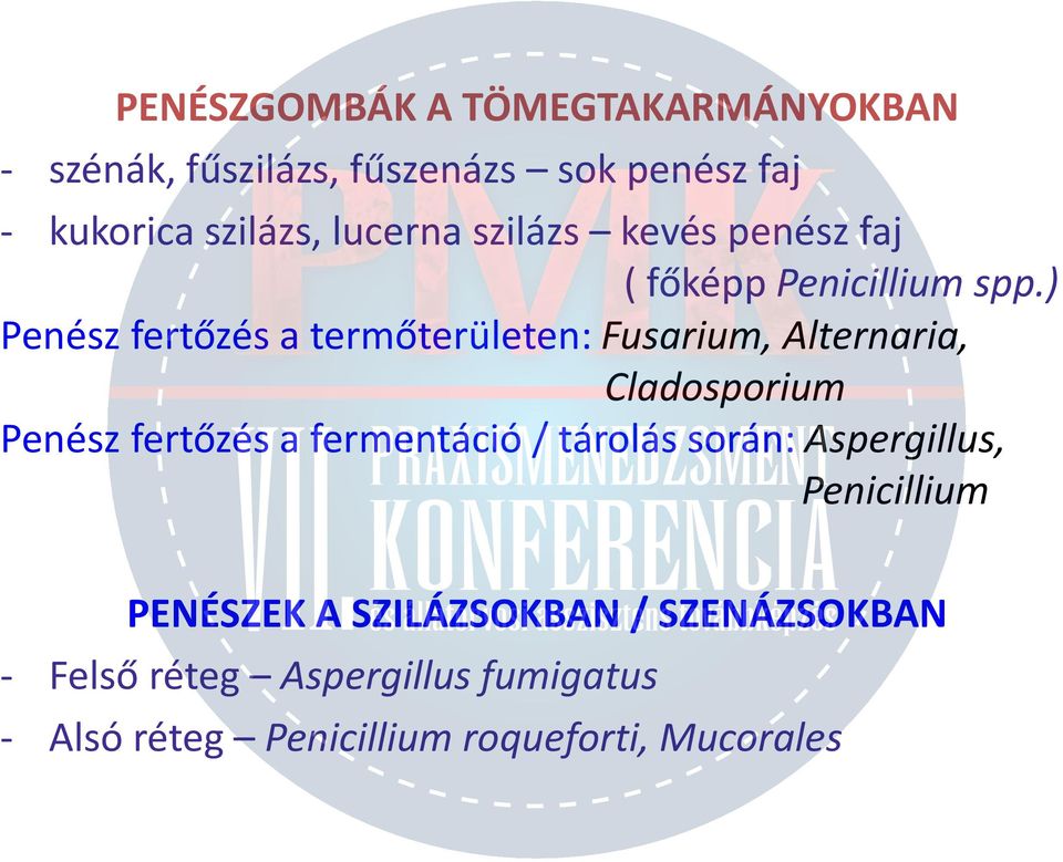 ) Penész fertőzés a termőterületen: Fusarium, Alternaria, Cladosporium Penész fertőzés a fermentáció /