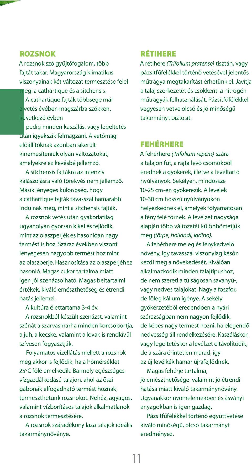 A vetőmag előállítóknak azonban sikerült kinemesíteniük olyan változatokat, amelyekre ez kevésbé jellemző. A sitchensis fajtákra az intenzív kalászolásra való törekvés nem jellemző.