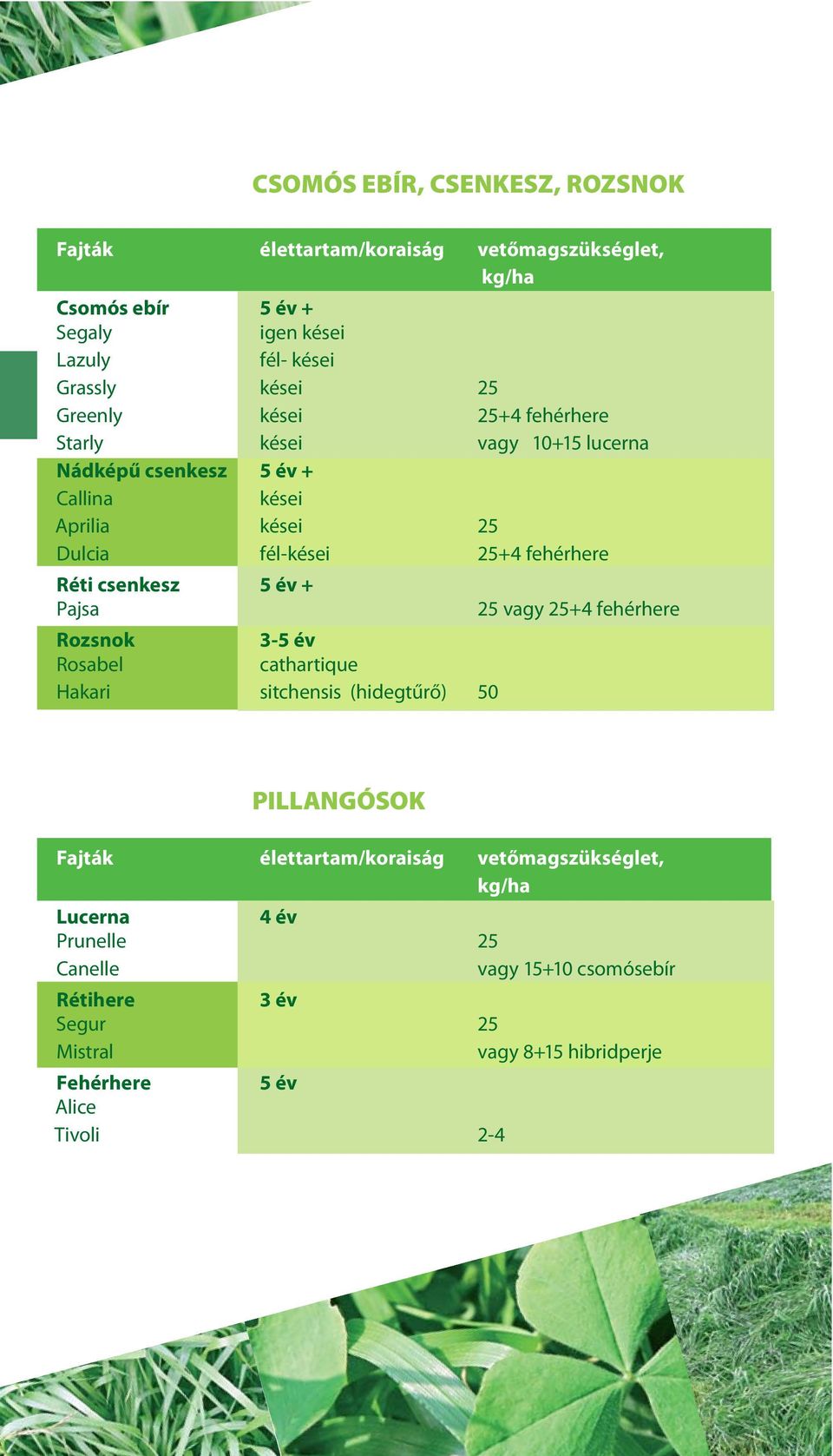 év + Pajsa Rozsnok 3-5 év Rosabel cathartique Hakari sitchensis (hidegtűrő) 50 25 vagy 25+4 fehérhere Fajták élettartam/koraiság