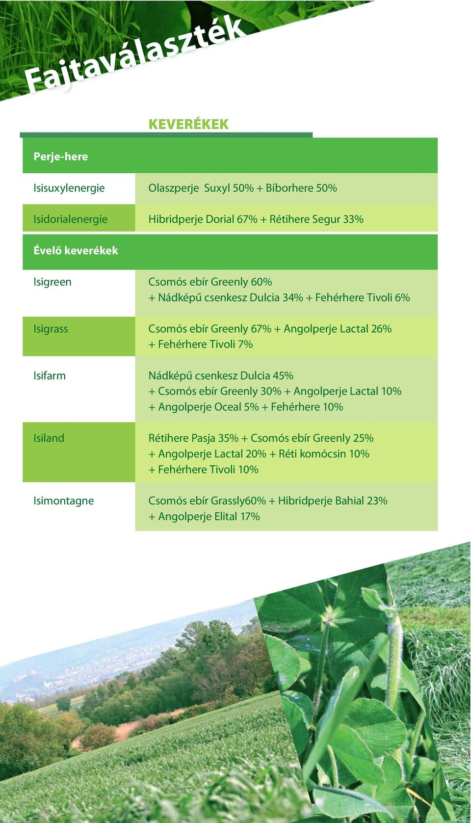 7% Isifarm Nádképű csenkesz Dulcia 45% + Csomós ebír Greenly 30% + Angolperje Lactal 10% + Angolperje Oceal 5% + Fehérhere 10% Isiland Rétihere Pasja 35% + Csomós