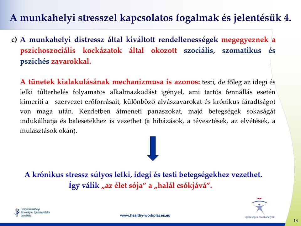 A tünetek kialakulásának mechanizmusa is azonos: testi, de főleg az idegi és lelki túlterhelés folyamatos alkalmazkodást igényel, ami tartós fennállás esetén kimeríti a szervezet