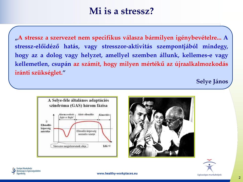 .. A stressz-előidéző hatás, vagy stresszor-aktivitás szempontjából mindegy, hogy az