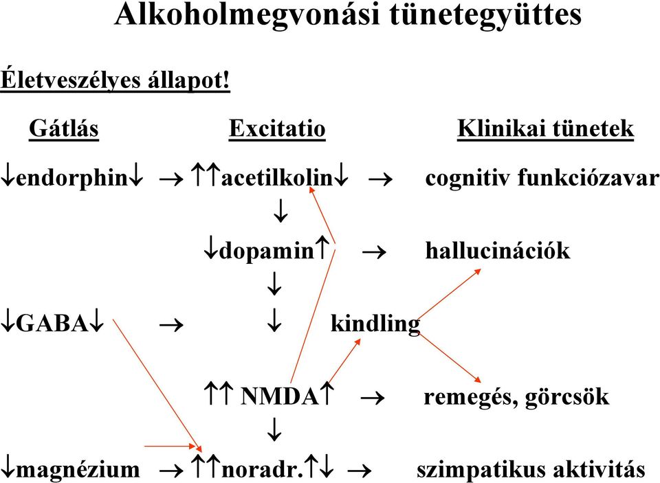 cognitiv funkciózavar dopamin hallucinációk GABA kindling