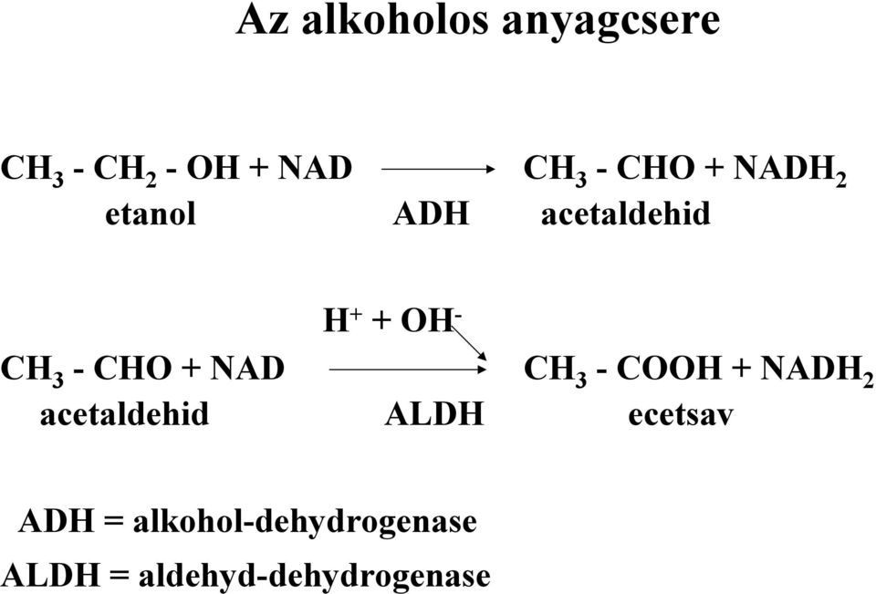 CHO + NAD CH 3 - COOH + NADH 2 acetaldehid ALDH
