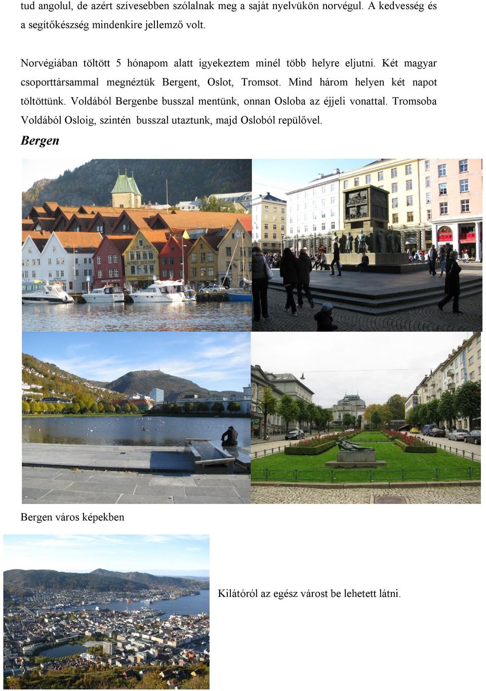 Két magyar csoporttársammal megnéztük Bergent, Oslot, Tromsot. Mind három helyen két napot töltöttünk.