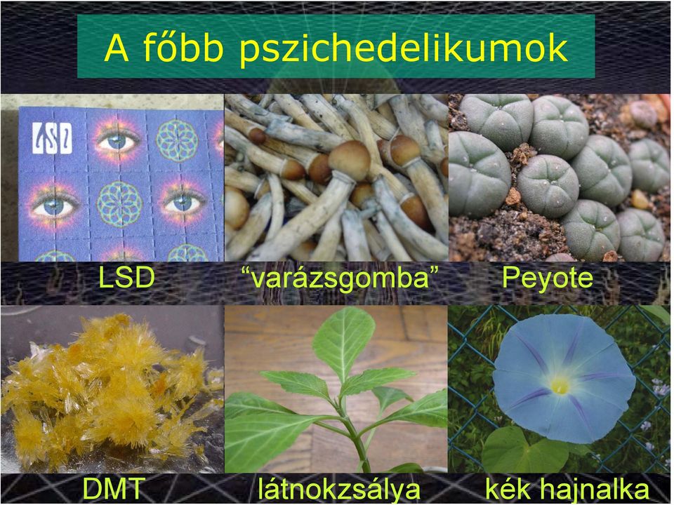 főbb
