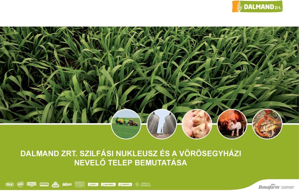 ÉS A VÖRÖSEGYHÁZI