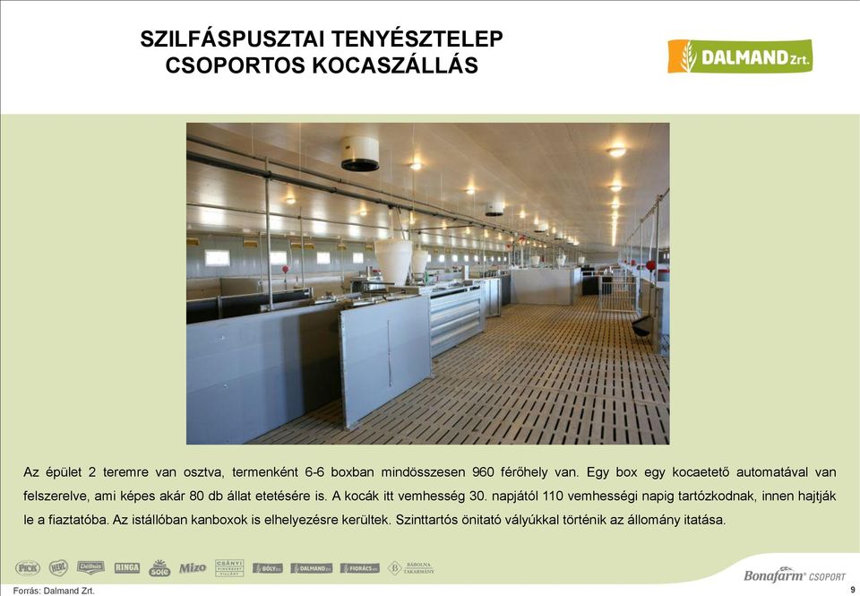 Egy box egy kocaetető automatával van felszerelve, ami képes akár 80 db állat etetésére is.
