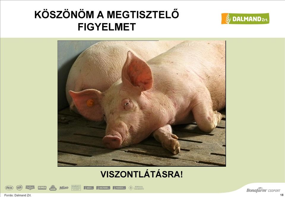 FIGYELMET