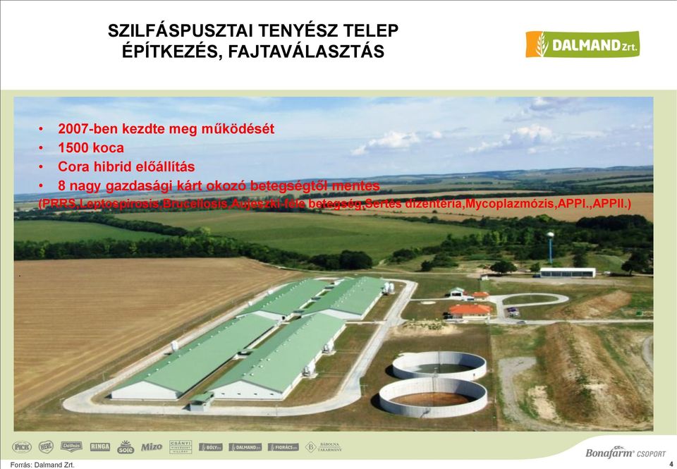 okozó betegségtől mentes (PRRS,Leptospirosis,Brucellosis,Aujeszki-féle