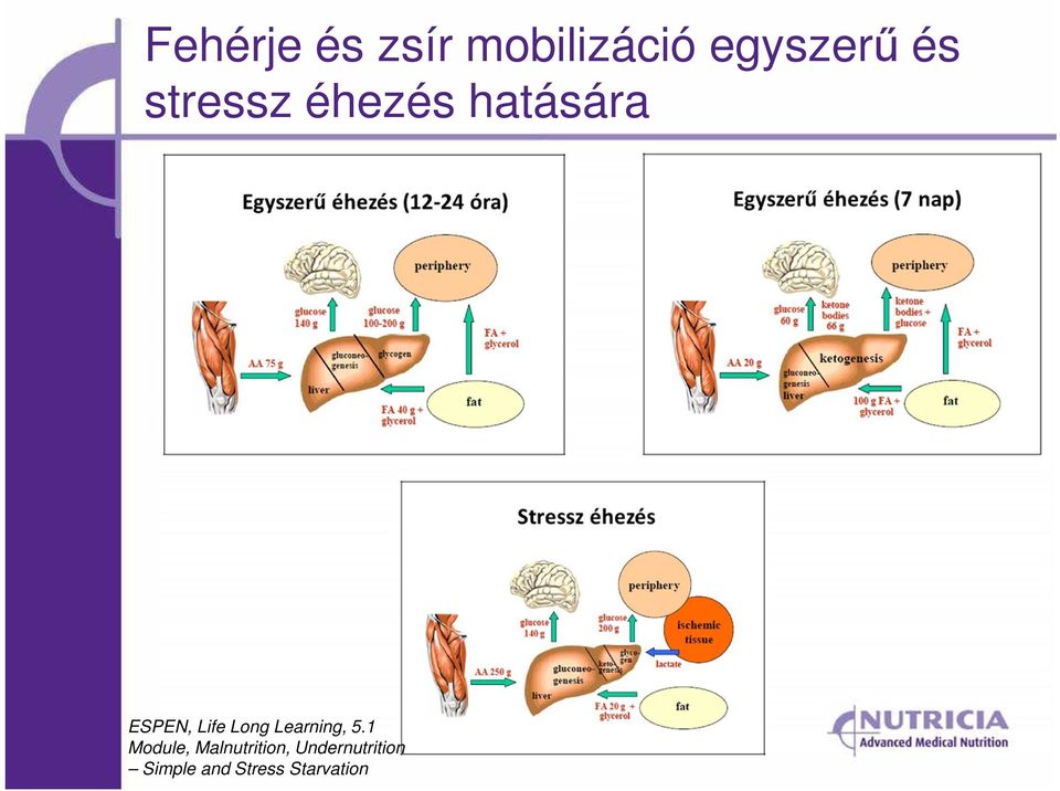 Long Learning, 5.