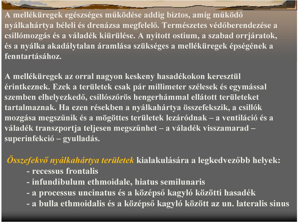 Ezek a területek csak pár millimeter szélesek és egymással szemben elhelyezkedő, csillószőrös hengerhámmal ellátott területeket tartalmaznak.