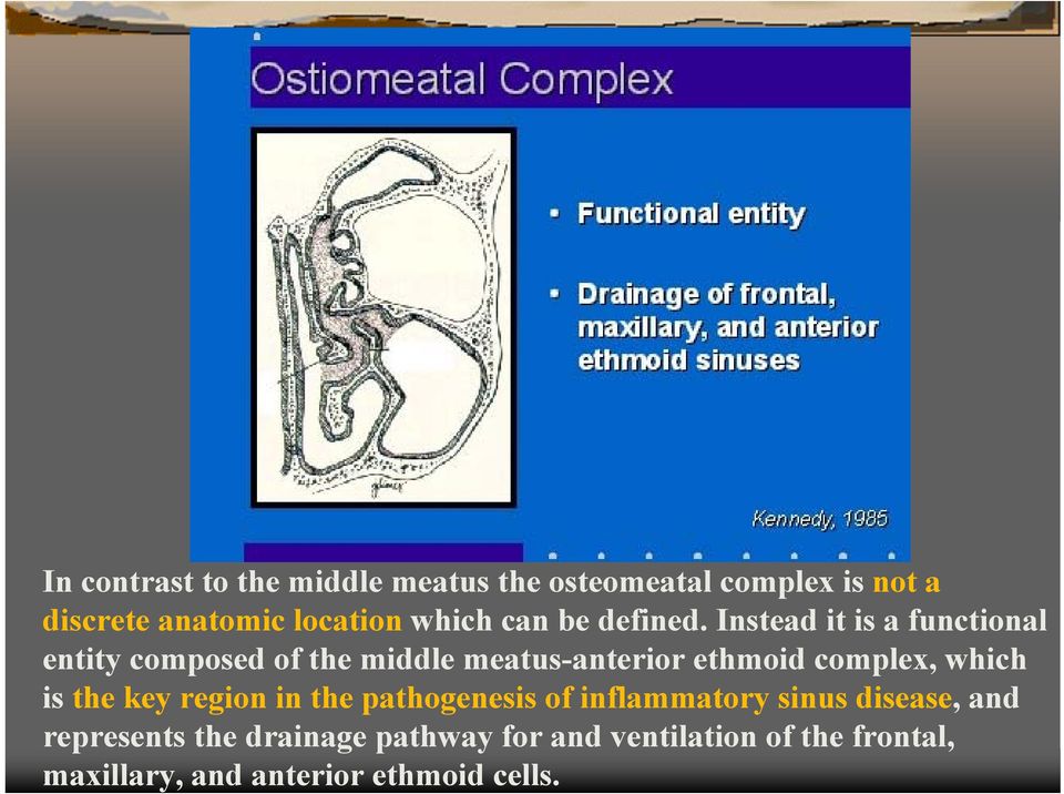 Instead it is a functional entity composed of the middle meatus-anterior ethmoid complex, which