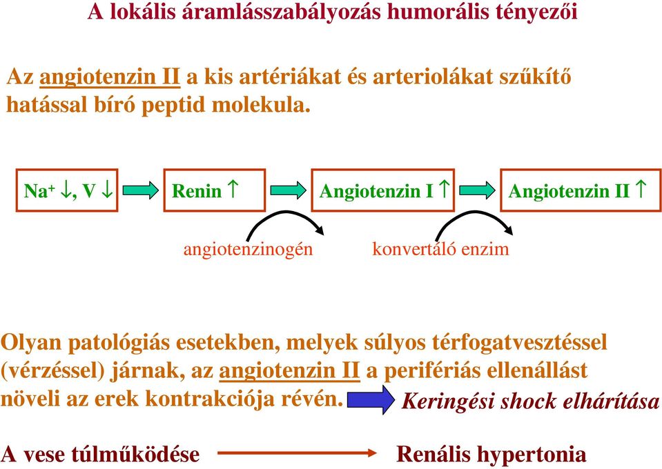 Na +, V Renin Angiotenzin I Angiotenzin II angiotenzinogén konvertáló enzim Olyan patológiás esetekben,