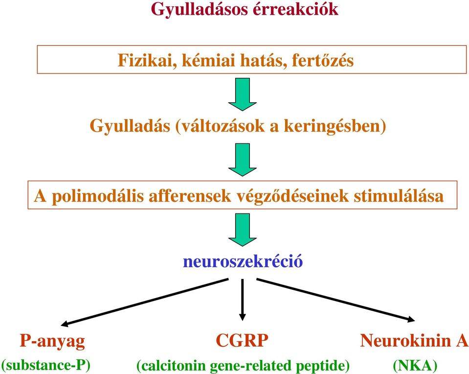 afferensek végződéseinek stimulálása neuroszekréció P-anyag