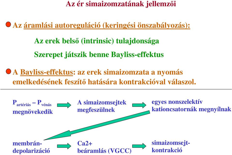 emelkedésének feszítő hatására kontrakcióval válaszol.