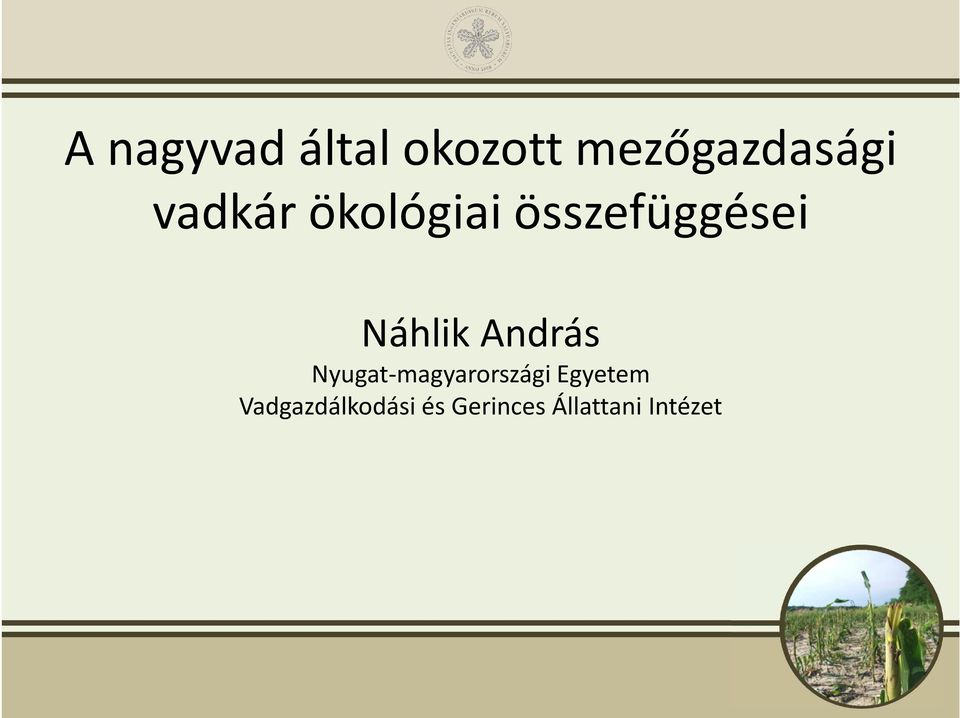 András Nyugat-magyarországi Egyetem