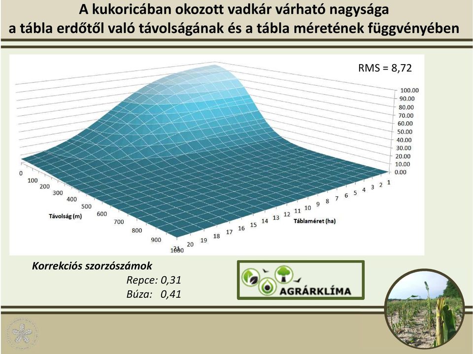 és a tábla méretének függvényében RMS =