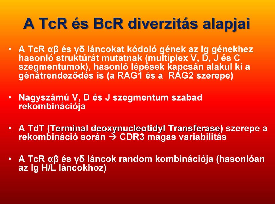 szerepe) Nagyszámú V, D és J szegmentum szabad rekombinációja A TdT (Terminal deoxynucleotidyl Transferase)