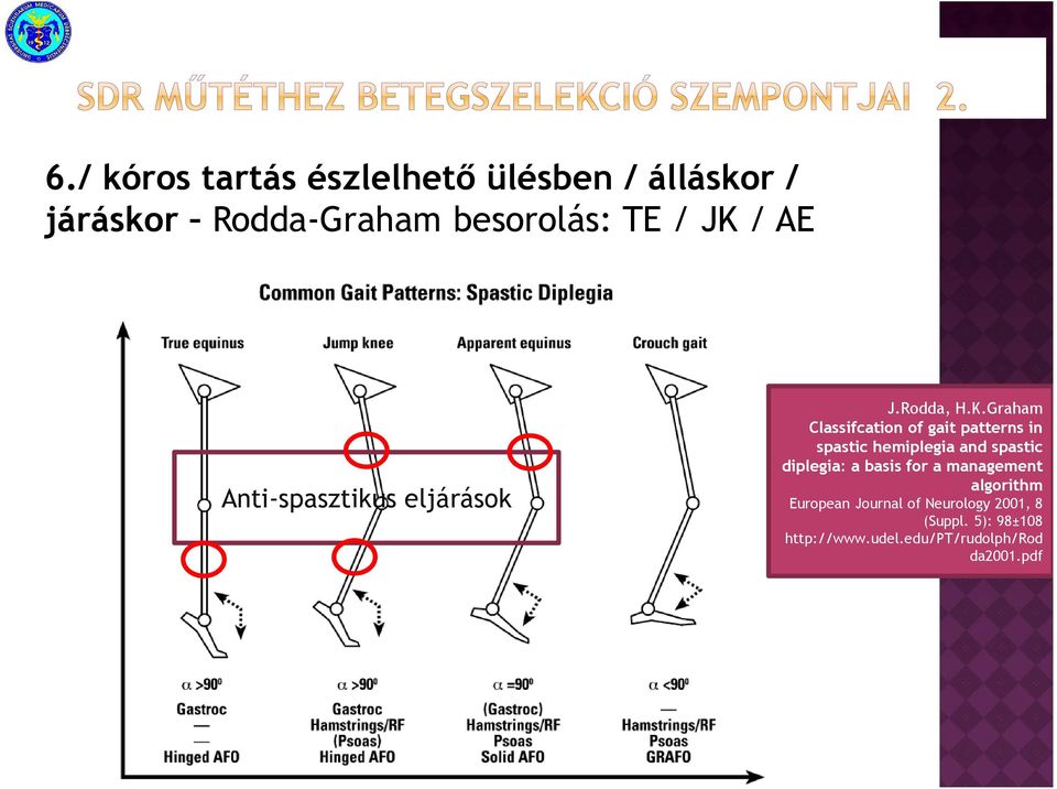 spastic hemiplegia and spastic diplegia: a basis for a management algorithm European