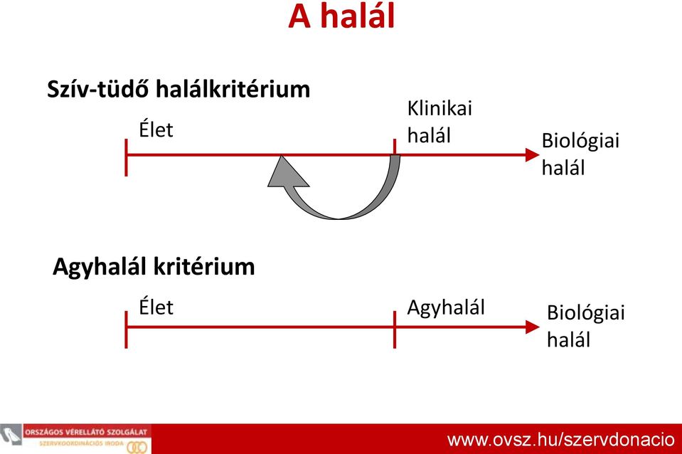 Agyhalál kritérium Élet Agyhalál