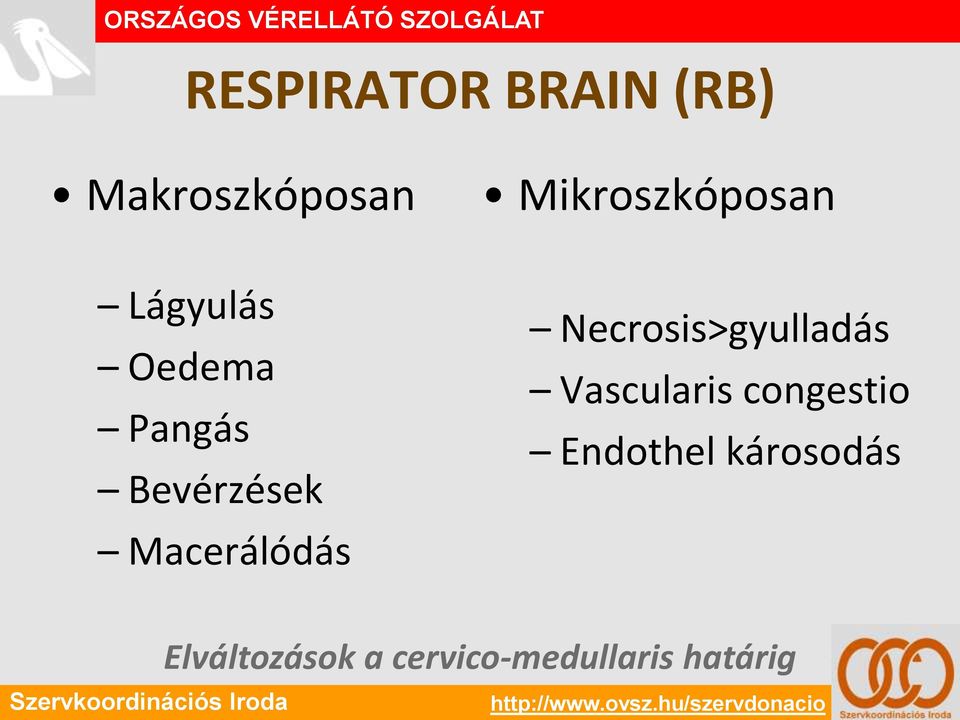 Necrosis>gyulladás Vascularis congestio Endothel károsodás