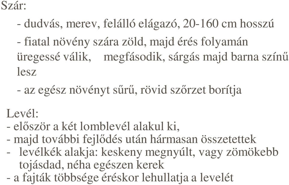 - el ször a két lomblevél alakul ki, - majd további fejl dés után hármasan összetettek - levélkék alakja: