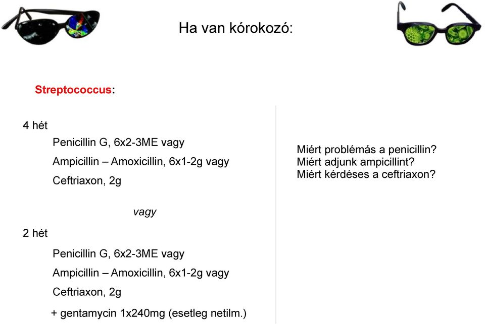 Ampicillin Amoxicillin, 6x1-2g vagy Ceftriaxon, 2g + gentamycin 1x240mg (esetleg