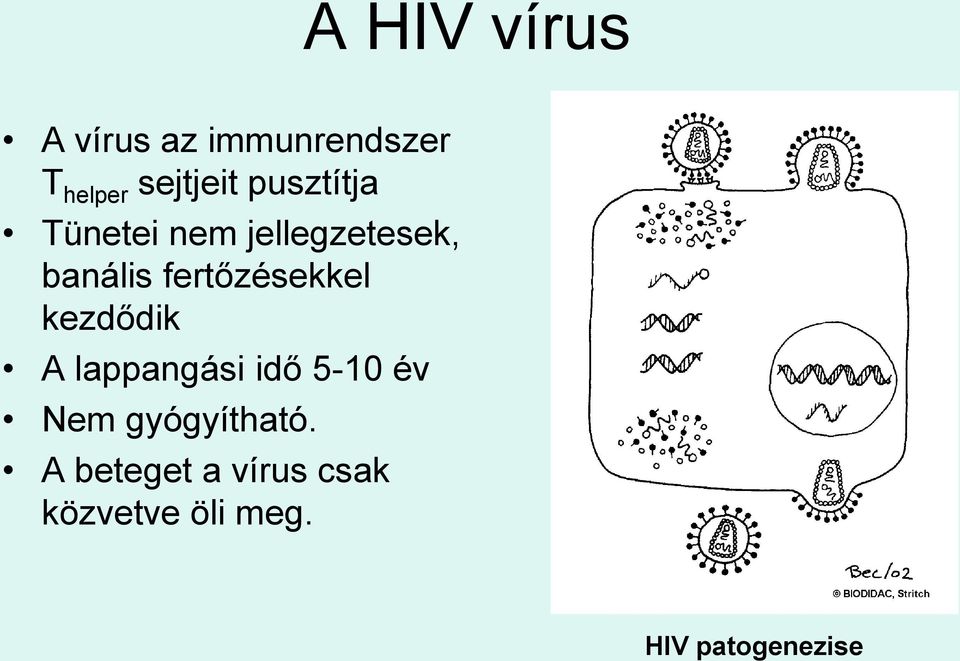 fertőzésekkel kezdődik A lappangási idő 5-10 év Nem