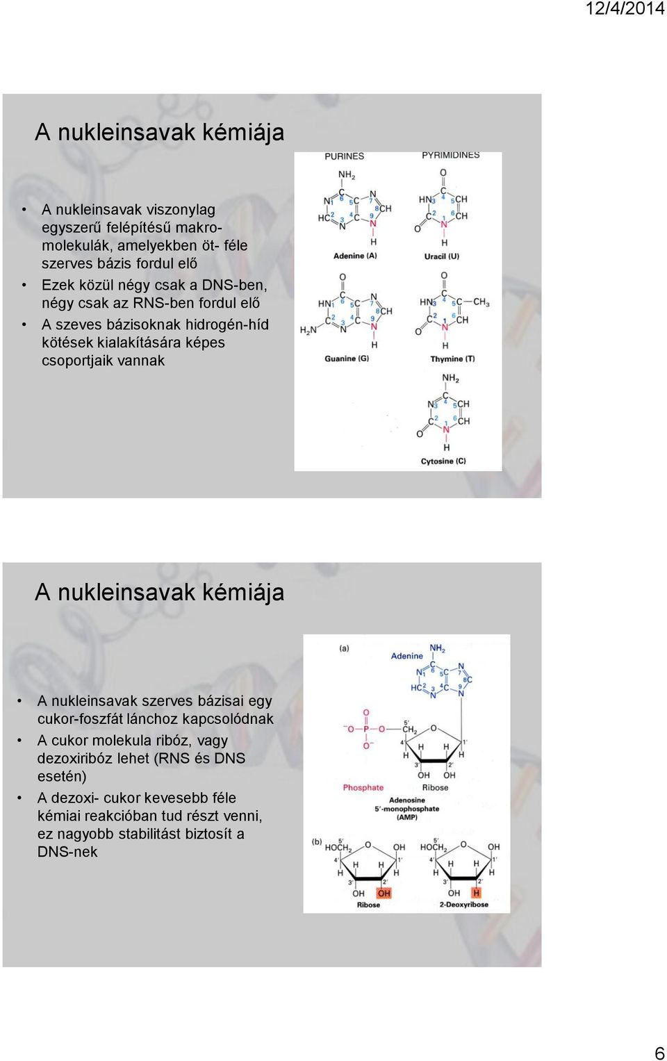 vannak A nukleinsavak kémiája A nukleinsavak szerves bázisai egy cukor-foszfát lánchoz kapcsolódnak A cukor molekula ribóz, vagy