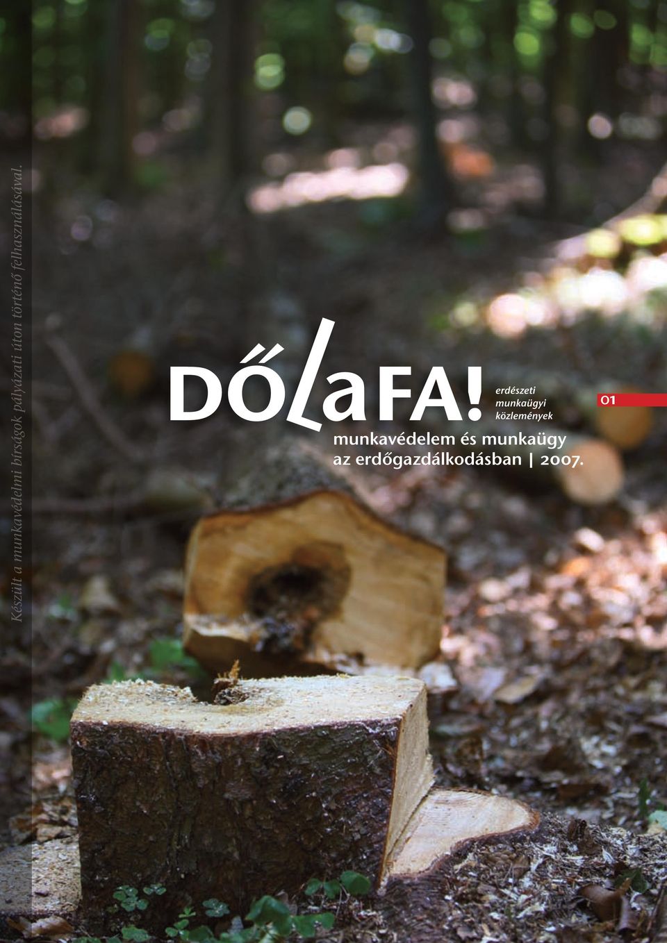 Készült a munkavédelmi bírságok pályázati úton történő felhasználásával.  munkavédelem és munkaügy az erdőgazdálkodásban PDF Ingyenes letöltés