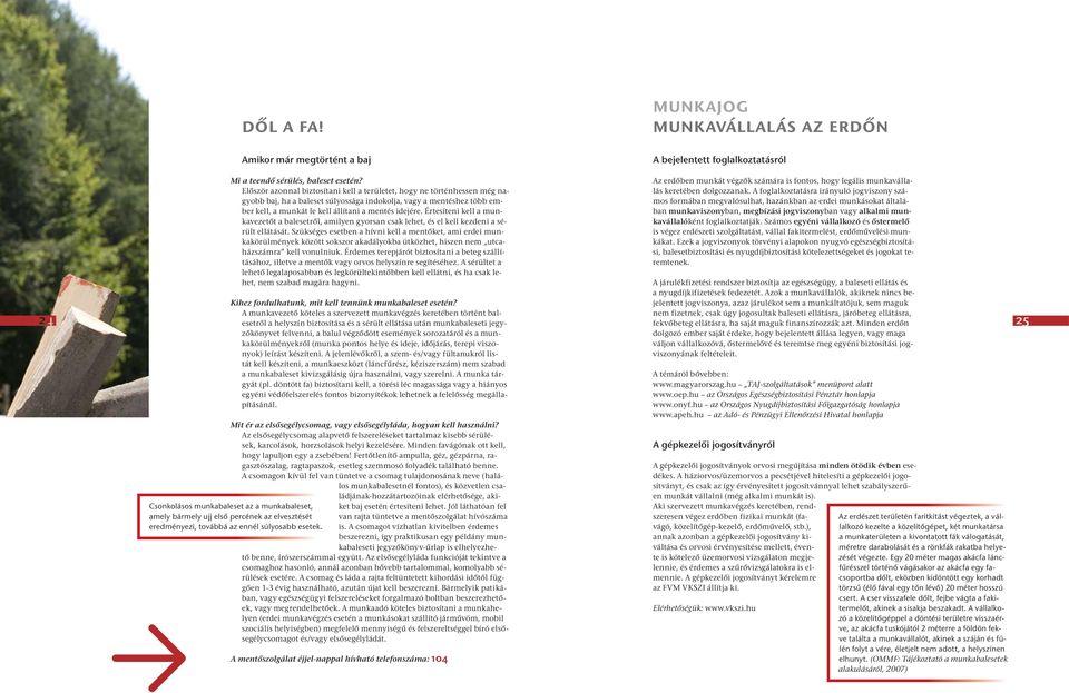 Értesíteni kell a munkavezetőt a balesetről, amilyen gyorsan csak lehet, és el kell kezdeni a sérült ellátását.