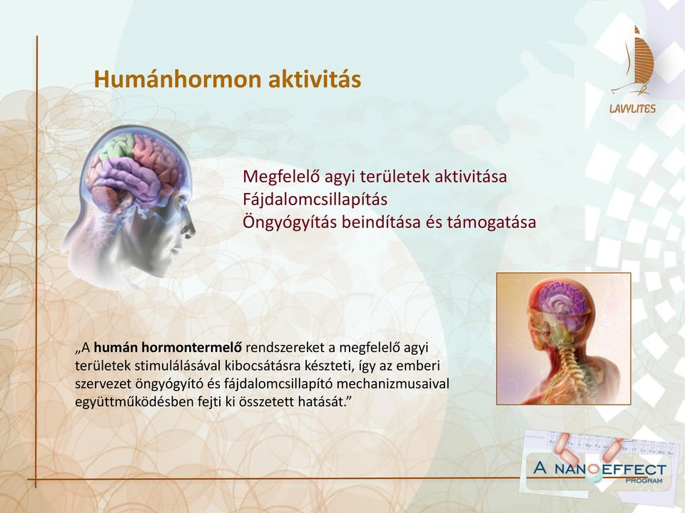 agyi területek stimulálásával kibocsátásra készteti, így az emberi szervezet