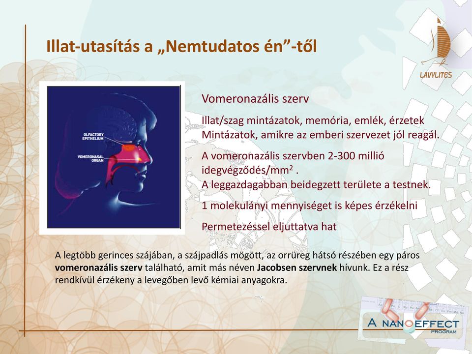 1 molekulányi mennyiséget is képes érzékelni Permetezéssel eljuttatva hat A legtöbb gerinces szájában, a szájpadlás mögött, az orrüreg