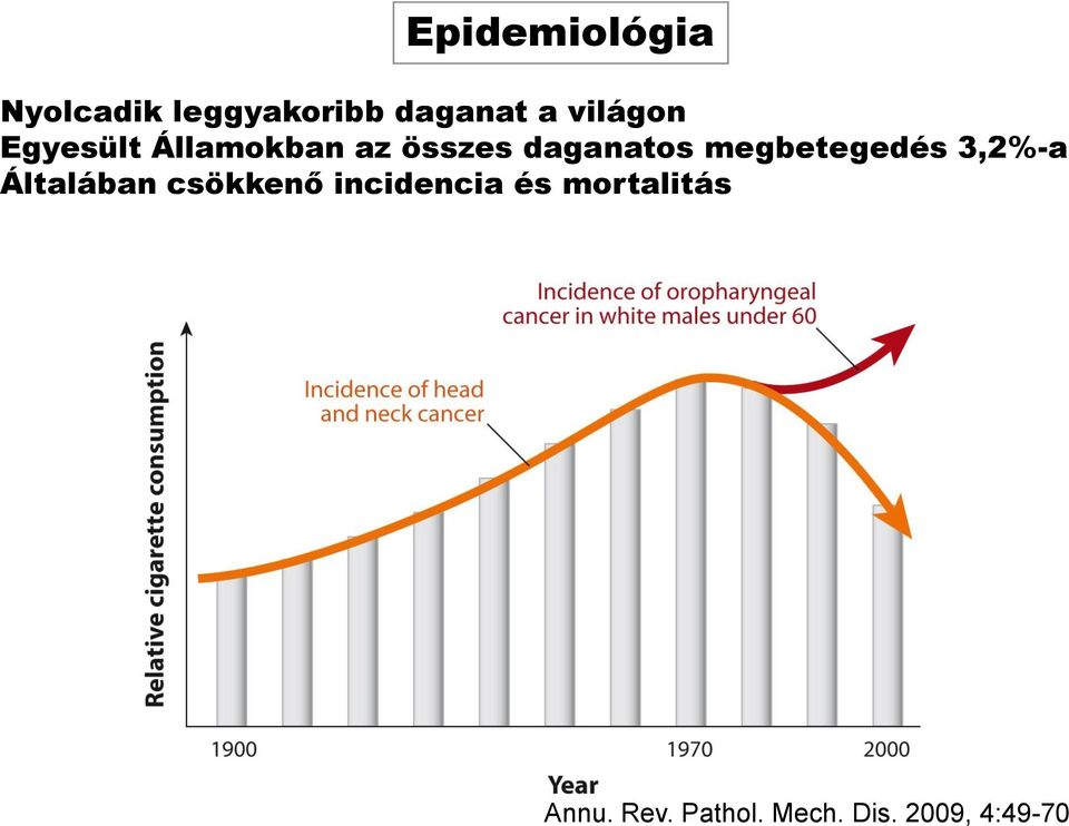 megbetegedés 3,2%-a Általában csökkenő incidencia